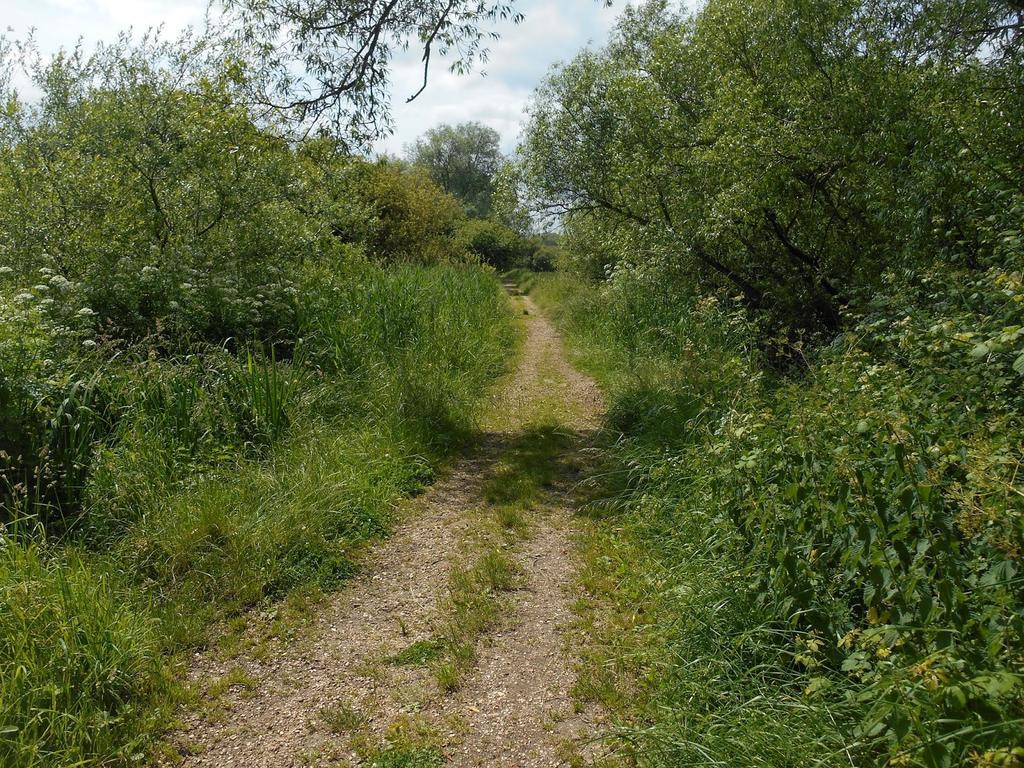 Shirley Apartments, Cozy Studio, Self Check In, 10 Min Drive To City Centre, Walking To Redbridge Train Station Southampton Eksteriør billede